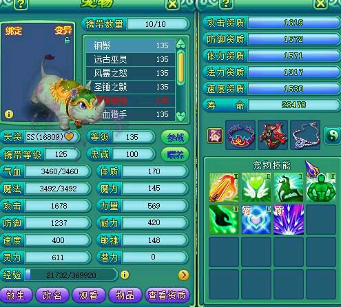 浩气冲霄130天策宝宝展示