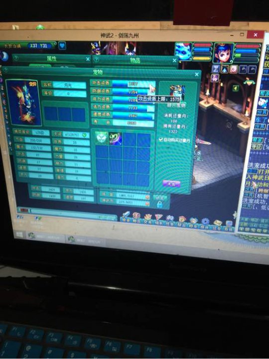 月光洗宠加打书