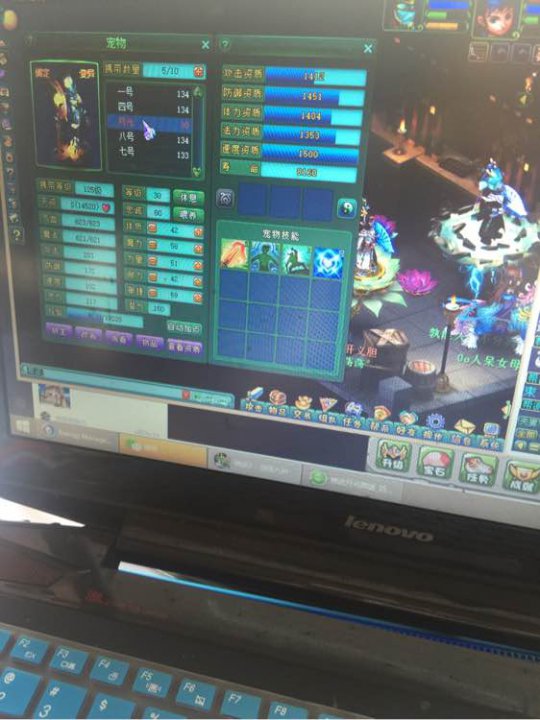 月光洗宠加打书