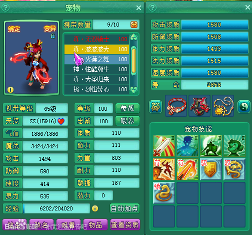 95级气五庄展示