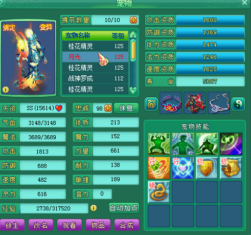 飞升120PT+TC双号展示