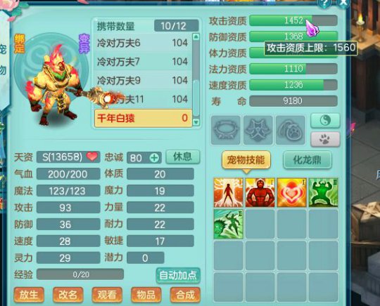 99级全五技能宝宝