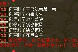 挖宝结果二