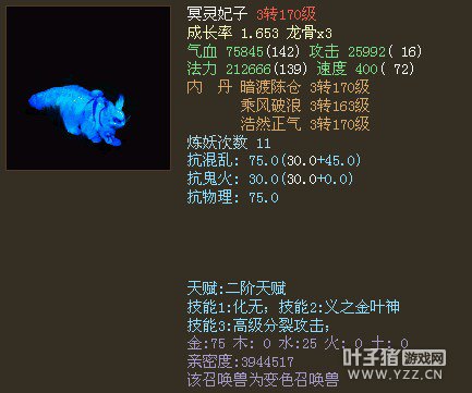 化无义金高分猫