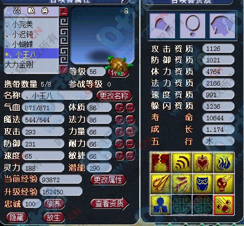 大海龟
