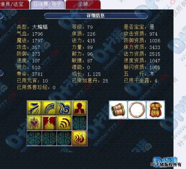 展示
