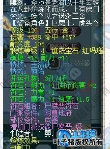 展示