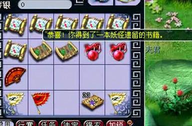 直播五宝