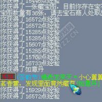 直播500个香囊