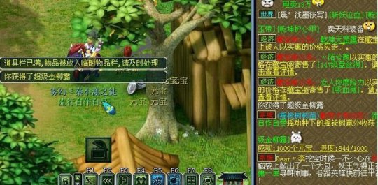 摇钱树直播