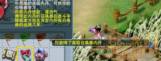 ֱ屦