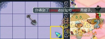 直播果实