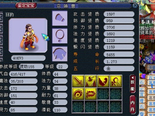 高端大气的萌宠