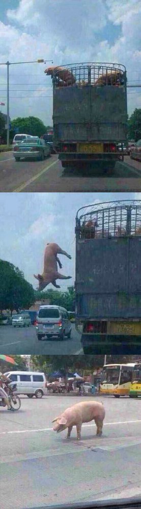 你不知道的攻略