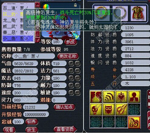 盘丝展