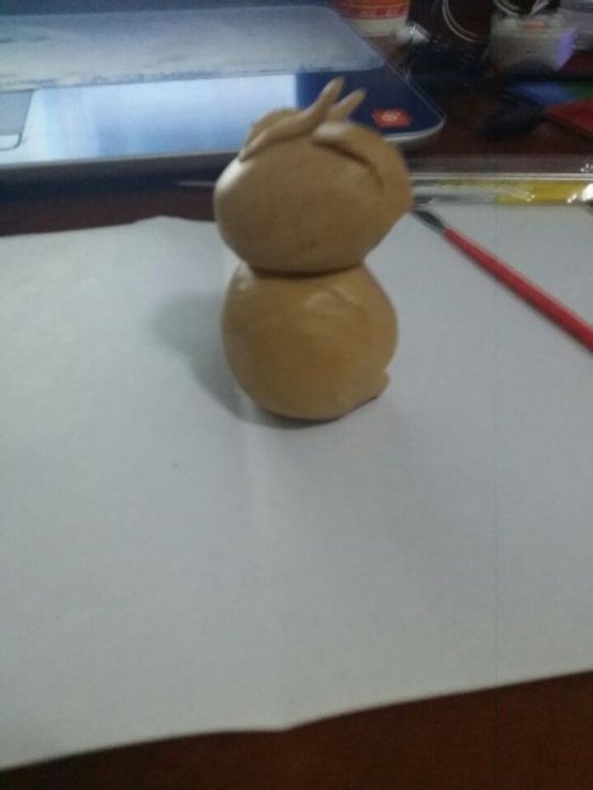 我家来了只可爱月兔