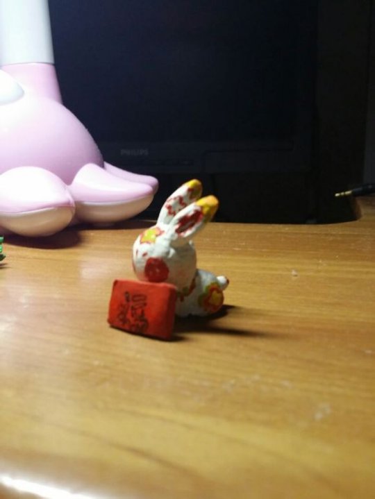 我家来了只可爱月兔