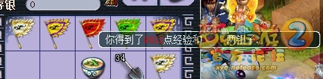 ֱʵ