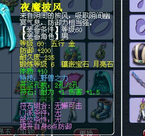 530069WZ