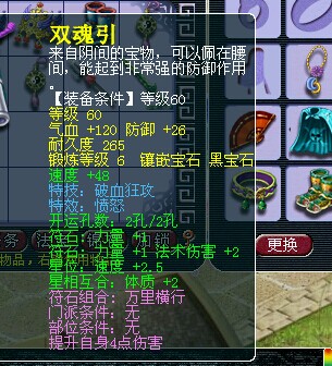 530069WZ