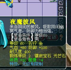 530069WZ