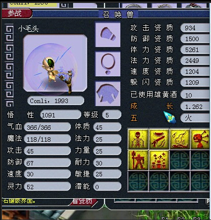 530069WZ