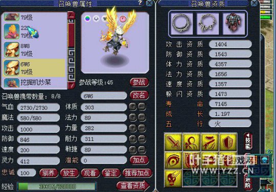 DTչʾ