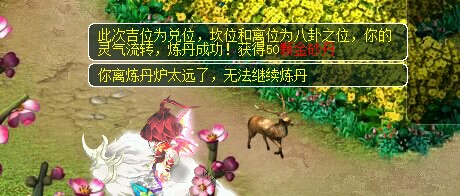 挖宝炼丹直播