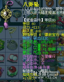 490069DT