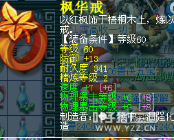 490069DT