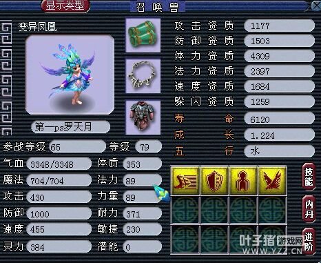 69޼DTչʾ