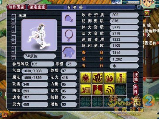 近期亮点宠物集锦