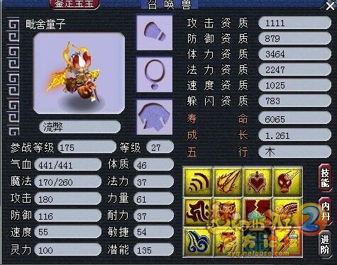 近期亮点宠物集锦