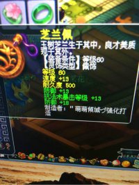 ֱ������