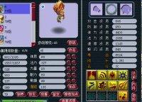 ��������˵��