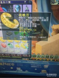 ֱ����������