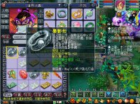 ֱ���������