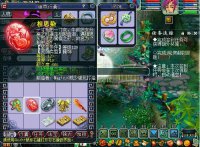 ֱ���������