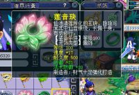 ֱ����������