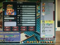 ƭ����ţ��