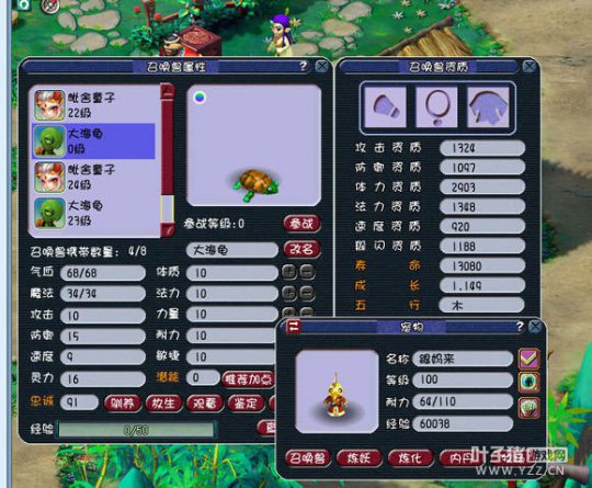 直播大海龟炼妖