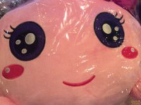 �Ϻ������