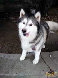 ��ũ���Ŷ�ר��