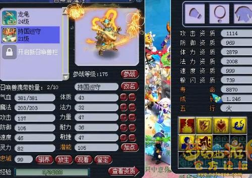 特技宝宝