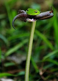 ֱ�������յ����