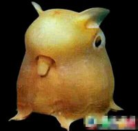 ֱ�������յ����