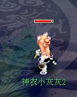新雪域白虎锦衣