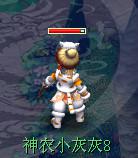 新雪域白虎锦衣