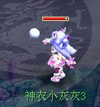 新雪域白虎锦衣