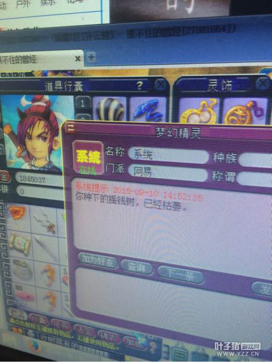 种摇钱树